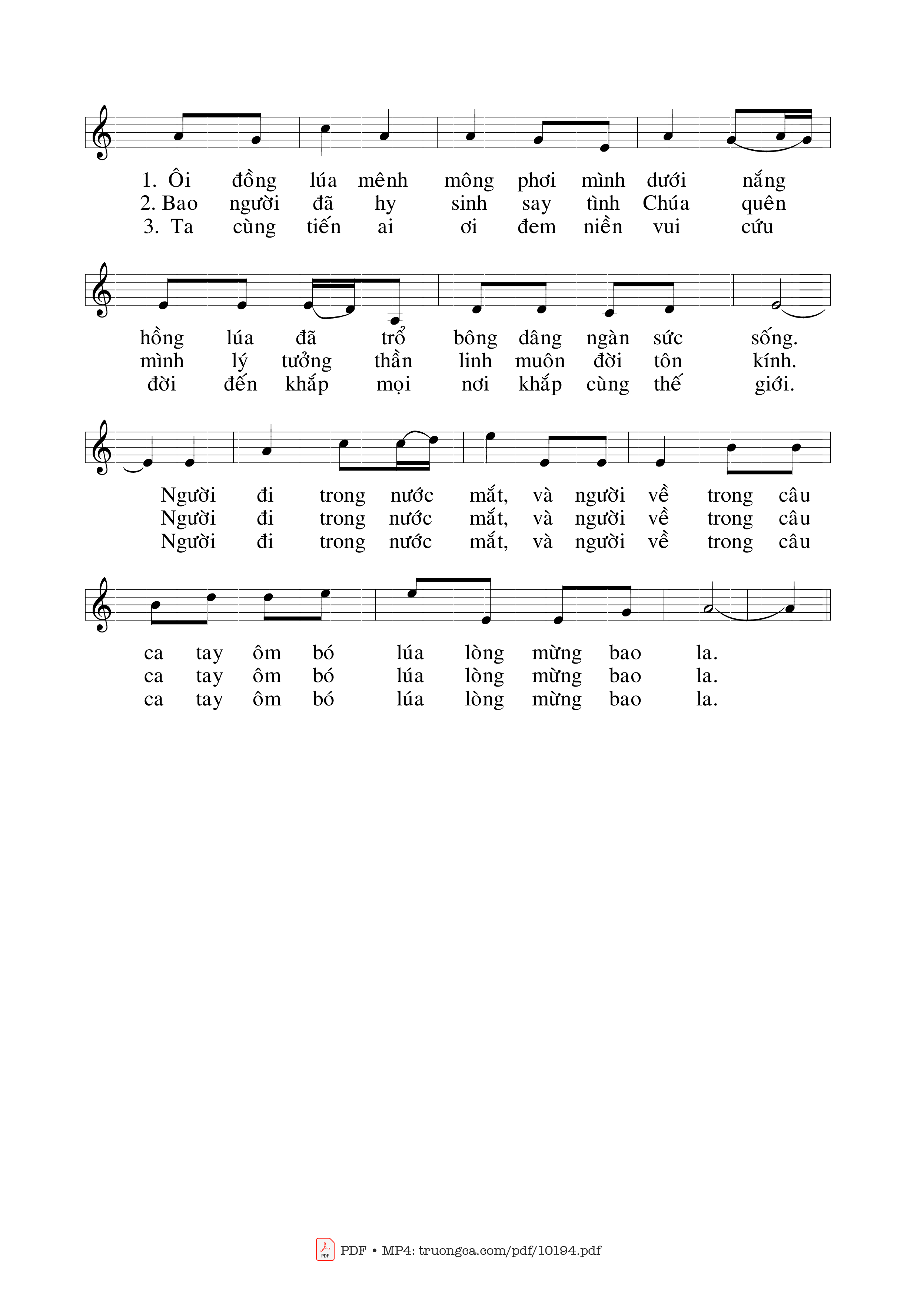 Ôi đẹp thay những bước chân gieo mầm cứu rỗi, Trang 2