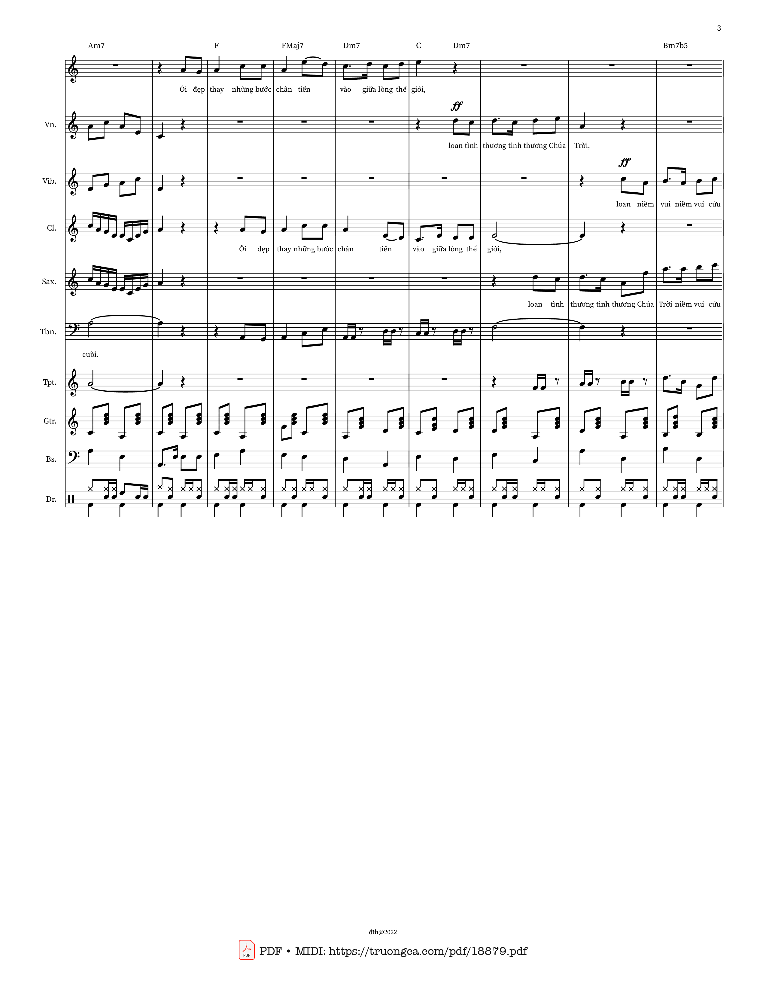 Ôi đẹp thay những bước chân gieo mầm cứu rỗi, Trang 7