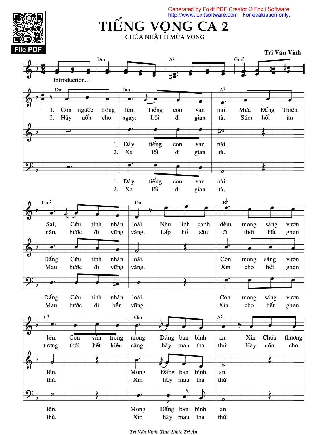 Tiếng  Vọng 2 - Tri Văn Vinh