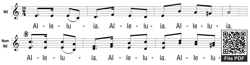 Thtm. Chúa Nhật 4C Mùa Vọng