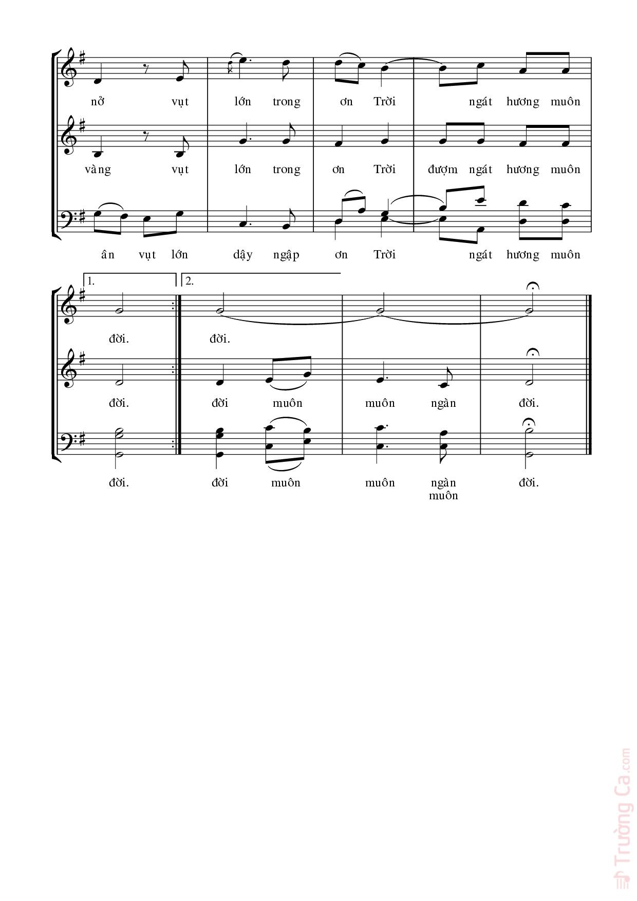 Page 5 of Sheet music PDF Ca Khúc Giáng Sinh - Nguyễn Duy