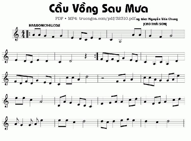 Cầu Vòng Sau Mưa