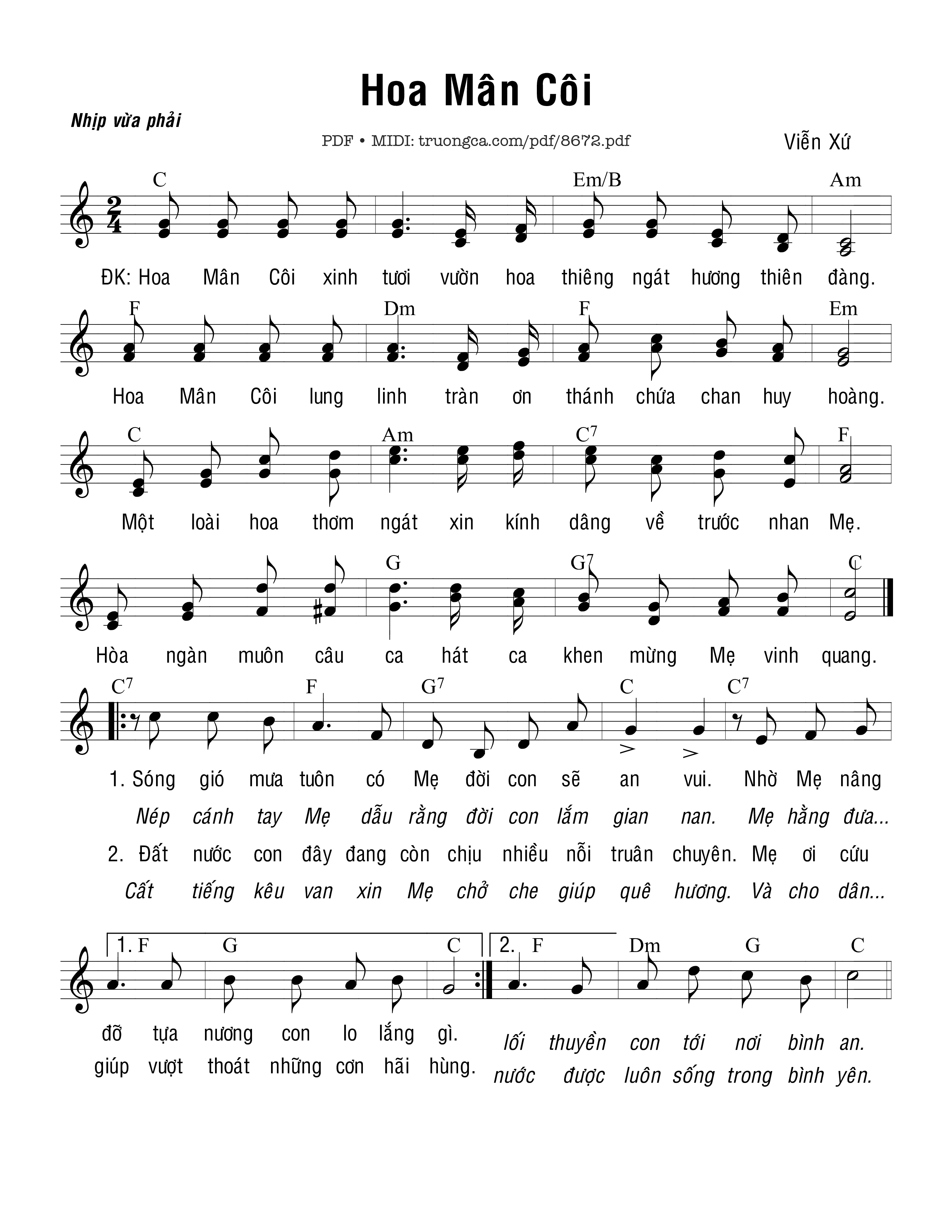 Hoa Mân Côi - Viễn Xứ