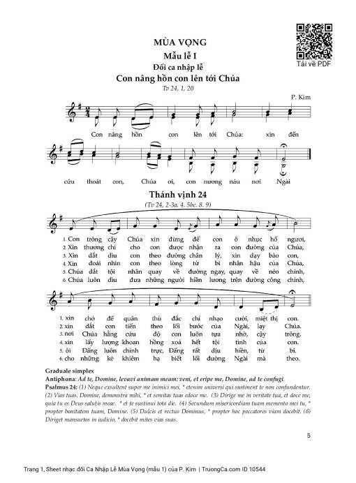 đối Ca Nhập Lễ Mùa Vọng (mẫu 1)