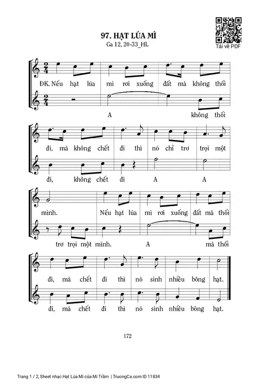 Hạt Lúa Mì - Mi Trầm