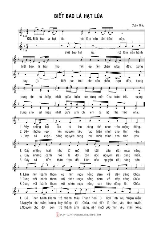 Biết Bao Là Hạt Lúa