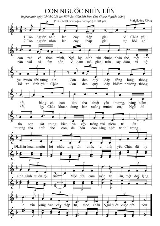 Con Ngước Nhìn Lên