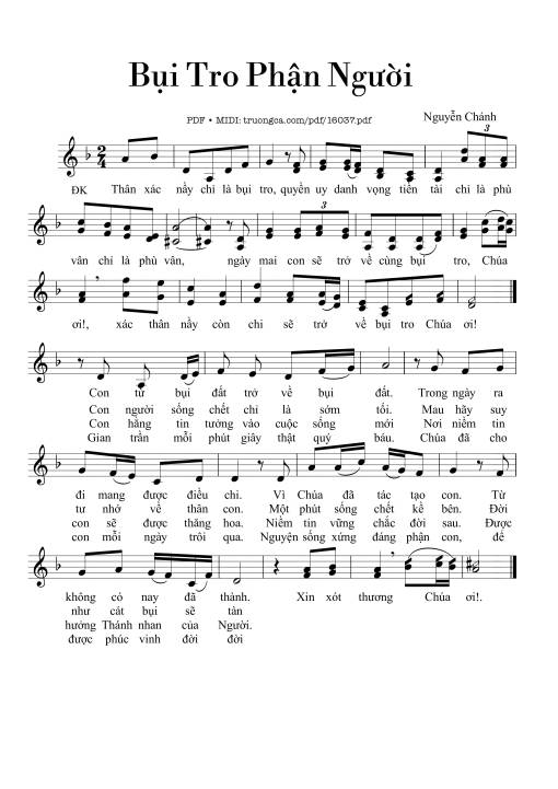 Bụi Tro Phận Người