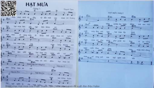 Hạt mưa - Phan Thanh Tâm