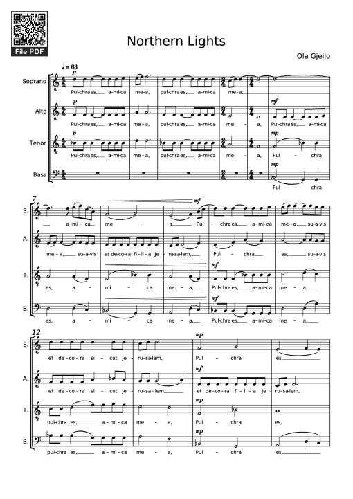 Northern Lights - Ola Gjeilo