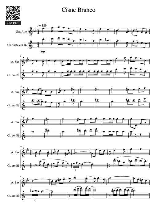 Cisne Branco - Undefined