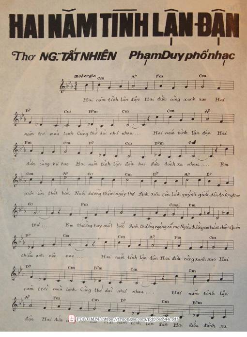 Hai Năm Tình Lận Đận