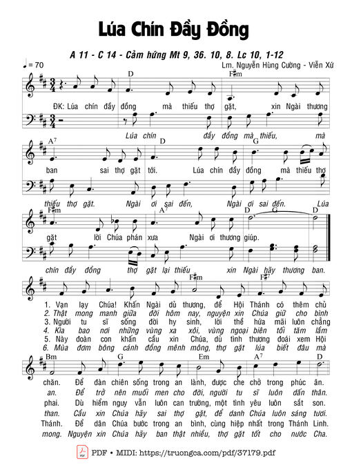 Lúa Chín Đầy Đồng