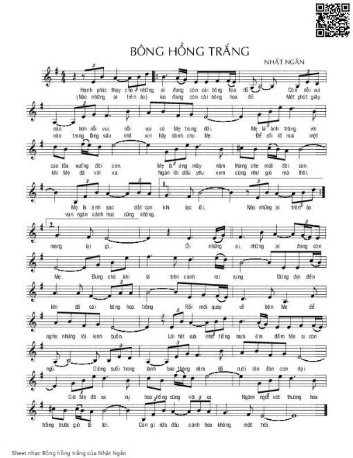 Bông hồng trắng