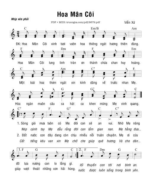 Hoa Mân Côi - Viễn Xứ